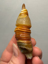 Load image into Gallery viewer, Naturally Sand-Chiseled Gobi Eye Agate | Inner Mongolia Desert Sculpted Specimen
