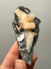 Load image into Gallery viewer, Pink Stilbite Druzy on Botryoidal Black Chalcedony | India | High-Grade Mineral Collector Specimen
