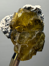 Load image into Gallery viewer, Vibrant Yellow Barite | Collector Display Specimen | Taourirt Mine, Morocco
