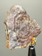Load image into Gallery viewer, “Goblin Chalcedony” Pink &amp; Orange Druzy Botryoidal Stalactites— Tichka Massif, High Atlas, Morocco
