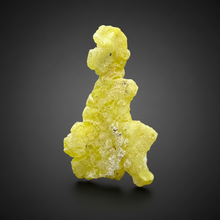 Load image into Gallery viewer, Vibrant Yellow Brucite Thumbnail Mineral Specimen | Collector Crystal from Killa Saifullah District in Balochistan Province, Pakistan
