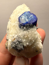 Load image into Gallery viewer, Afghanite &amp; Lazurite on Matrix Collector Display Specimen | Badakhshan Region, Afghanistan
