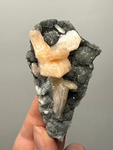Load image into Gallery viewer, Pink Stilbite Druzy on Botryoidal Black Chalcedony | India | High-Grade Mineral Collector Specimen
