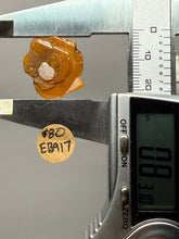 Load image into Gallery viewer, High-Grade Orange Wulfenite Collector Display Specimen | La Morita Mine, Chihuahua, Mexico
