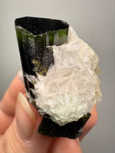 Load image into Gallery viewer, Dark Green Cap Stak Nala Tourmaline on Cleavelandite Matrix – Haramosh Mountains, Pakistan
