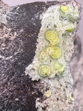 Load image into Gallery viewer, High-Grade Green Wavellite Collectors Specimen - Radiating Botryoidal Crystal Formation - Arkansas, USA

