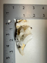 Load image into Gallery viewer, Moroccan Ram’s Horn Selenite (Gypsum) Crystal Display Specimen
