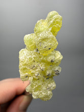Load image into Gallery viewer, Vibrant Yellow Brucite Thumbnail Mineral Specimen | Collector Crystal from Killa Saifullah District in Balochistan Province, Pakistan
