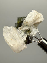 Load image into Gallery viewer, Blue Cap Dark Green Stak Nala Tourmaline and Cleavelandite – Haramosh Mountains, Pakistan | Thumbnail Specimen
