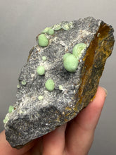 Load image into Gallery viewer, High-Grade Green Wavellite Collectors Specimen - Radiating Botryoidal Crystal Formation - Arkansas, USA

