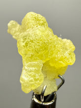 Load image into Gallery viewer, Vibrant Yellow Brucite Thumbnail Mineral Specimen | Collector Crystal from Killa Saifullah District in Balochistan Province, Pakistan
