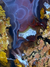 Load image into Gallery viewer, MUSEUM Turkish Agate with Intriguing Inclusions – Great Sticks, Banding and Eyes - Turkey
