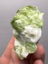 Load image into Gallery viewer, Electric Green Diopside on Quartz – Collector Mineral Specimen (Gilgit-Baltistan) Pakistan
