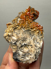 Load image into Gallery viewer, Natural Vanadinite on Matrix | Collector Mineral Specimen | Morocco
