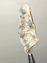 Load image into Gallery viewer, Blue-Green Chrysocolla in Botryoidal Chalcedony Cabinet Specimen | Indonesia
