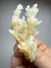 Load image into Gallery viewer, High-Grade Coral Aragonite Crystal Specimen – Wenshan Mine, Yunnan, China
