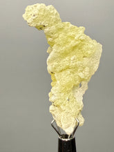 Load image into Gallery viewer, Vibrant Yellow Brucite Thumbnail Mineral Specimen | Collector Crystal from Killa Saifullah District in Balochistan Province, Pakistan
