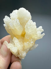 Load image into Gallery viewer, Golden Coral Aragonite Crystal Specimen – Wenshan Mine, Yunnan, China
