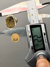 Load image into Gallery viewer, Bivalve (Pelecypoda) Fossil Sea Shell with Chalcopyrite | Mineralized Fossil Specimen | Indonesia
