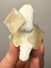 Load image into Gallery viewer, Rare Druzy Golden “Diamond” Calcite on Zeolite Matrix — Maharashtra, India | Collector Cabinet Specimen
