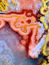 Load image into Gallery viewer, Pink Yellow Red Moroccan Agate | High Atlas Mountains •UNPOLISHED LAPIDARY  SLAB
