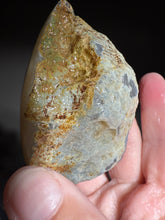 Load image into Gallery viewer, Rare Midnight Muse Parallax Agate – Madhya Pradesh, India | Farmer-Found, Natural Chalcedony
