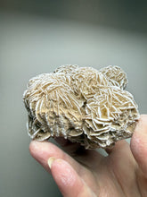 Load image into Gallery viewer, Desert Rose Selenite (Gypsum) — Mineral Display Specimen | Mexico
