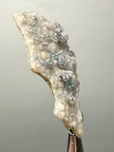 Load image into Gallery viewer, Blue-Green Chrysocolla in Botryoidal Chalcedony Cabinet Specimen | Indonesia
