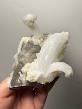 Load image into Gallery viewer, RARE COMBO Moroccan Ram’s Horn Selenite (Gypsum) with Yellow Botryoidal Fluorite Display Specimen
