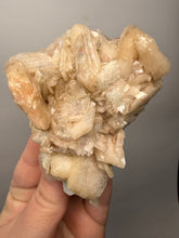Load image into Gallery viewer, High-Grade Apophyllite on Pink Stilbite Zeolite | Indian Collector Mineral Specimen
