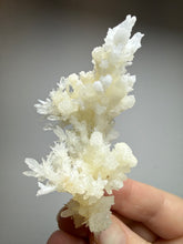 Load image into Gallery viewer, High-Grade Coral Aragonite Crystal Specimen – Wenshan Mine, Yunnan, China
