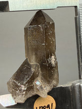 Load image into Gallery viewer, Smoky Quartz Crystal Specimen | Natural Collector Mineral – Brazil
