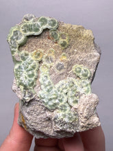 Load image into Gallery viewer, High-Grade Green Wavellite Collectors Specimen - Radiating Botryoidal Crystal Formation - Arkansas, USA
