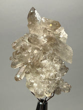 Load image into Gallery viewer, Smoky Quartz Crystal Specimen | Natural Collector Mineral – Brazil
