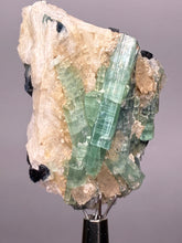 Load image into Gallery viewer, Blue Indicolite &amp; Mint Green Tourmaline on Matrix – Pegmatite Mineral Specimen from Pakistan
