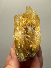 Load image into Gallery viewer, Golden Glow Calcite Cluster | Maharashtra, India
