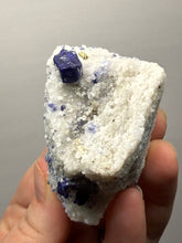 Load image into Gallery viewer, Afghan Lazurite Specimen | Deep Blue Lapis-Grade Crystal on Matrix | Collector Display Mineral
