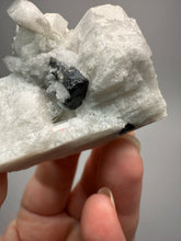 Load image into Gallery viewer, Dark Green Cap Stak Nala Tourmaline on Cleavelandite Matrix – Haramosh Mountains, Pakistan
