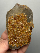 Load image into Gallery viewer, Spessartine Garnet on Smoky Quartz | Wushan Spessartine Mine, Tongbei, Yunxiao Co., Zhangzhou, Fujian, China
