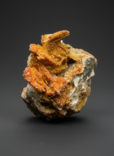 Load image into Gallery viewer, Natural Vanadinite on Matrix | Collector Mineral Specimen | Morocco
