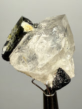 Load image into Gallery viewer, Dark Green Cap Stak Nala Tourmaline and Cleavelandite on Quartz – Haramosh Mountains, Pakistan | Thumbnail Specimen
