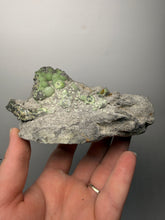 Load image into Gallery viewer, High-Grade Green Wavellite Collectors Specimen - Radiating Botryoidal Crystal Formation - Arkansas, USA
