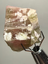 Load image into Gallery viewer, Raw Bi-Color Tourmaline Crystal Specimen | Ocean View Mine, Pala, California, USA
