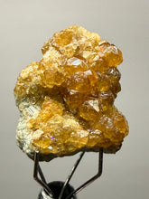Load image into Gallery viewer, Hessonite Garnet Cluster on Matrix – Thumbnail Collector Specimen from Pakistan | High-Grade Orange-Red Garnet Crystals
