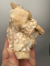 Load image into Gallery viewer, High-Grade Apophyllite on Pink Stilbite Zeolite | Indian Collector Mineral Specimen
