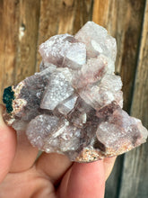 Load image into Gallery viewer, Red Phantom Gem Apophyllite Cluster • Maharashtra, India

