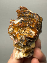 Load image into Gallery viewer, Natural Vanadinite on Matrix | Collector Mineral Specimen | Morocco
