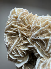 Load image into Gallery viewer, Desert Rose Selenite (Gypsum) — Mineral Display Specimen | Mexico
