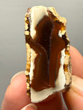 Load image into Gallery viewer, Premium Sumatra Agate (Banded Chalcedony) Display Specimen | Indonesia
