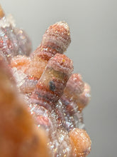 Load image into Gallery viewer, “Goblin Chalcedony” Pink and Red Druzy Botryoidal Stalactites — Tichka Massif, High Atlas, Morocco
